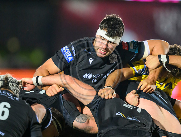 Warriors v Zebre