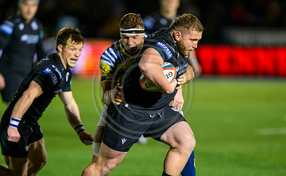 Warriors v Zebre