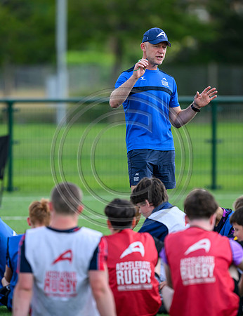 Accelerate Rugby