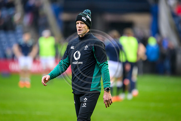 Scotland v ireland