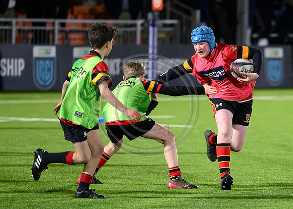 Edinburgh v Cell C Sharks