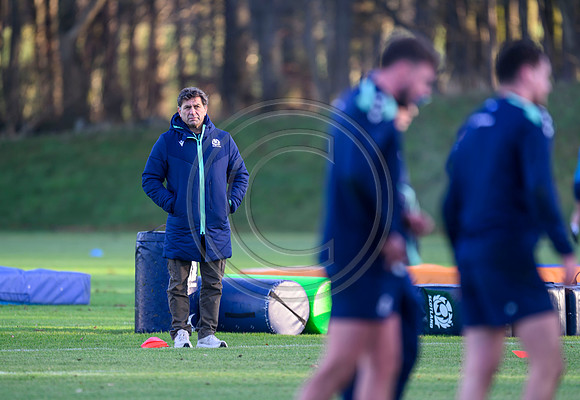 David Nucifora