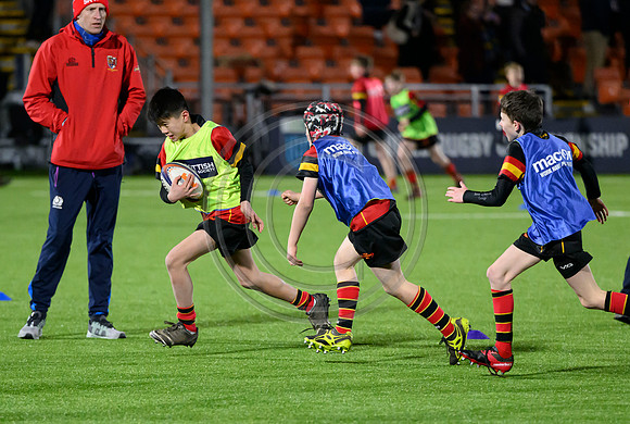 Edinburgh v Cell C Sharks