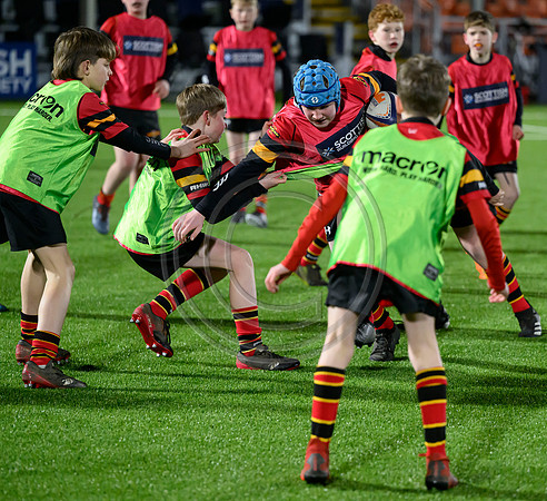 Edinburgh v Cell C Sharks