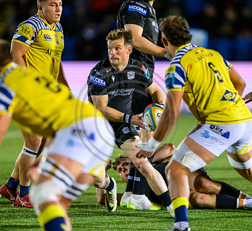 Warriors v Zebre