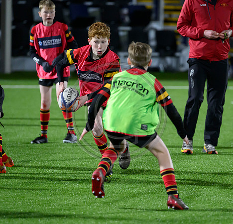 Edinburgh v Cell C Sharks
