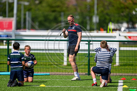 Accelerate Rugby
