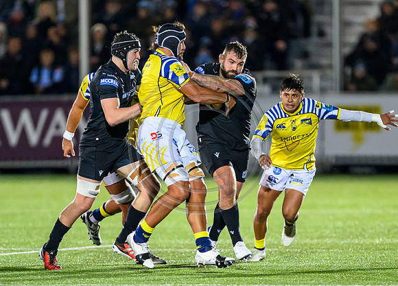 Warriors v Zebre