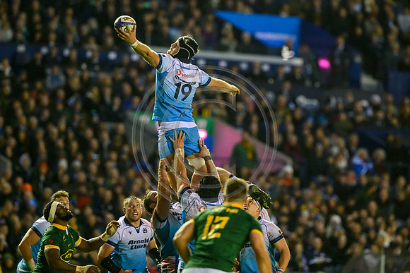 Scotland v South Africa