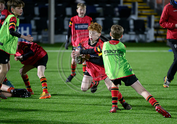 Edinburgh v Cell C Sharks