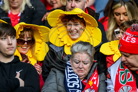 Scotlandv Wales