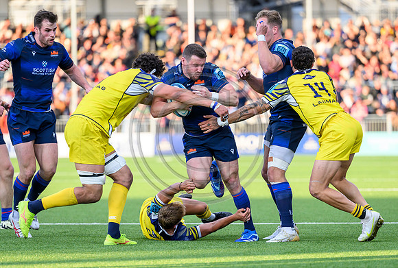 Edinburgh v Zebre