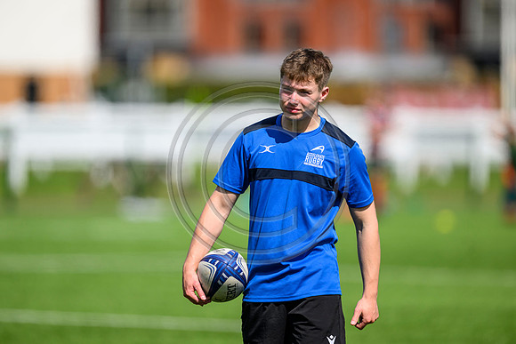 Accelerate Rugby