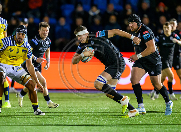 Warriors v Zebre