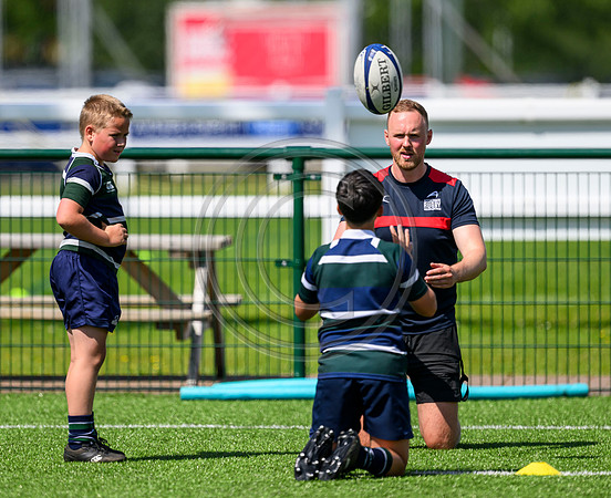 Accelerate Rugby