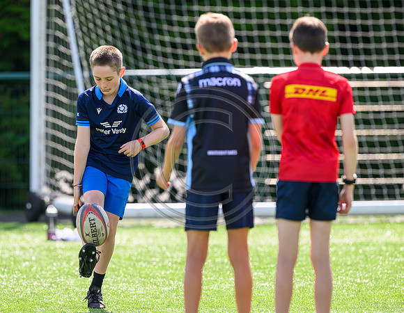 Accelerate Rugby