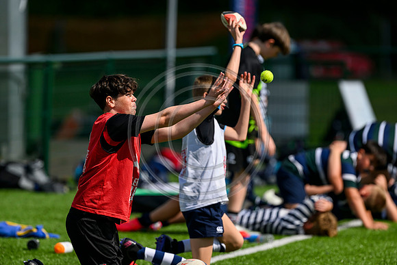 Accelerate Rugby