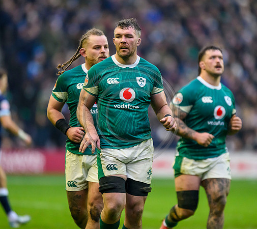 Scotland v ireland