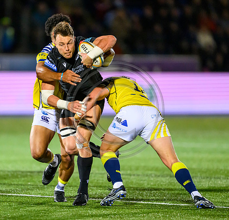 Warriors v Zebre