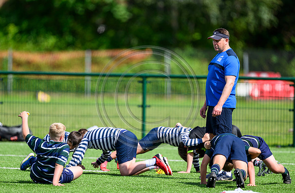 Accelerate Rugby