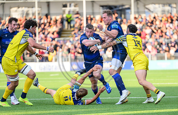 Edinburgh v Zebre