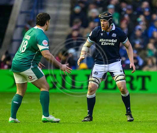 Scotland v ireland