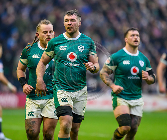 Scotland v ireland