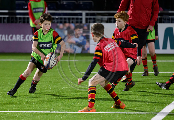 Edinburgh v Cell C Sharks