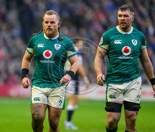 Scotland v ireland