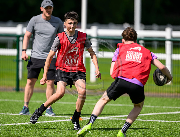 Accelerate Rugby