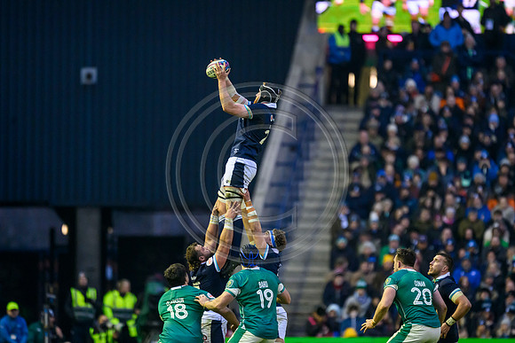Scotland v ireland