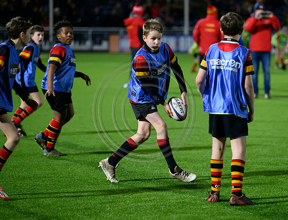 Edinburgh v Cell C Sharks
