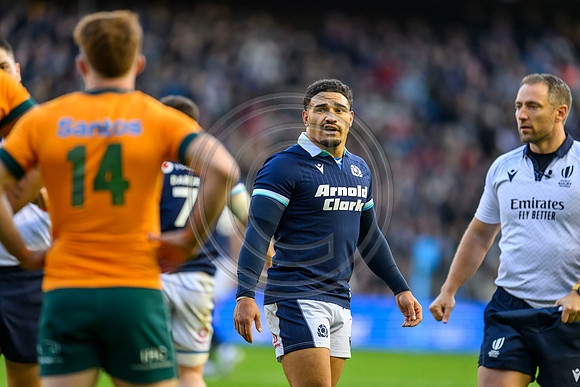 Scotland v Australia