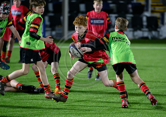 Edinburgh v Cell C Sharks