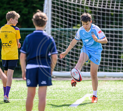 Accelerate Rugby