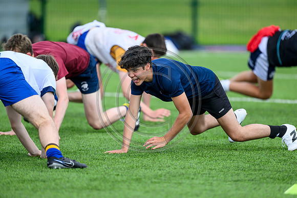 Accelerate Rugby