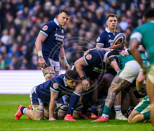 Scotland v ireland