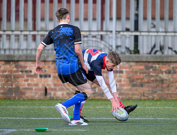 SP Energy Networks Warriors Championships Semi Final
