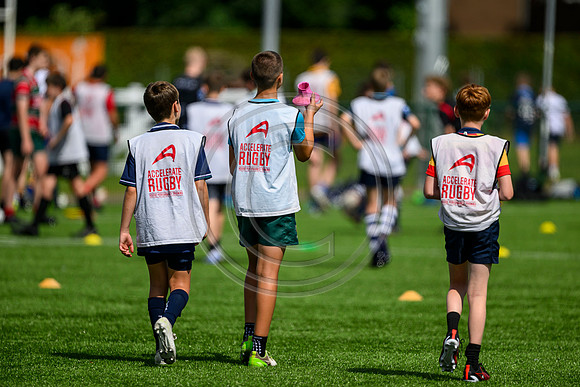 Accelerate Rugby