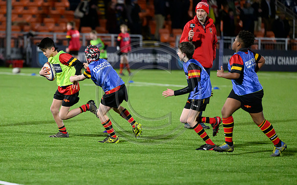 Edinburgh v Cell C Sharks