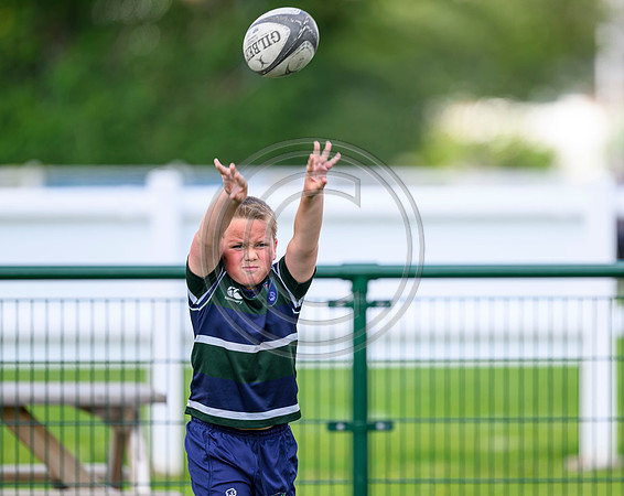 Accelerate Rugby