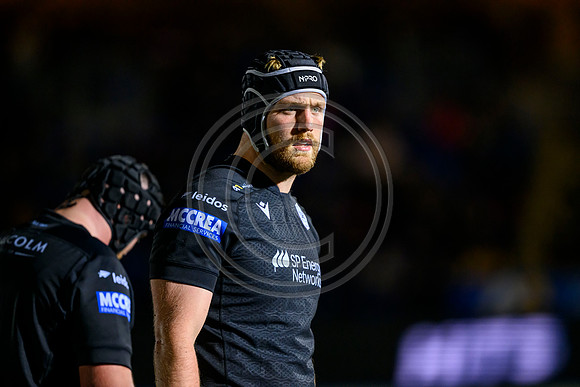 Warriors v Zebre