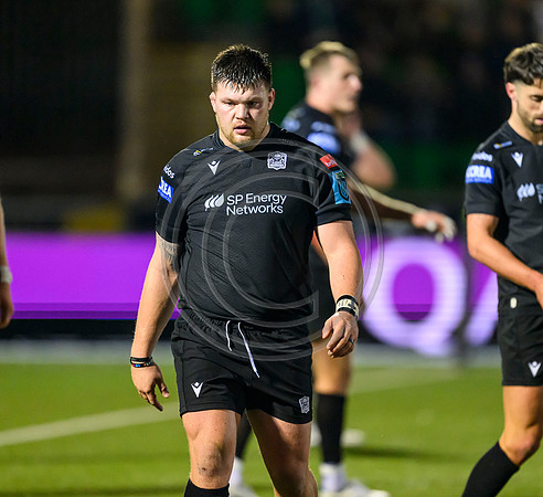 Warriors v Zebre