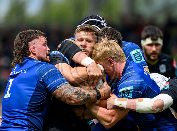 Leinster v Warriors