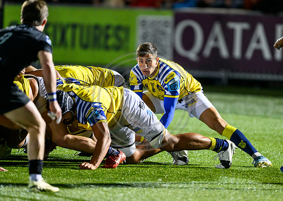 Warriors v Zebre