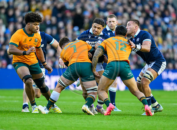 Scotland v Australia