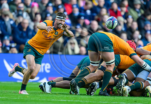 Scotland v Australia
