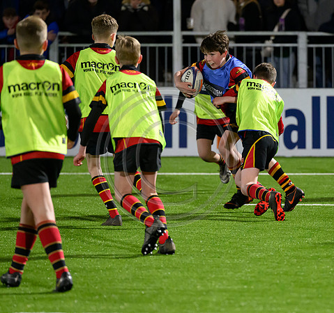 Edinburgh v Cell C Sharks