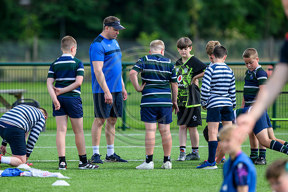 Accelerate Rugby