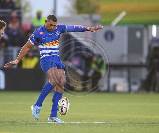 Warriors v Zebre